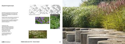 Fotografier av beplantningskonseptet, inkludert et overblikk over området og nærbilder av planter og trær.