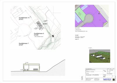 Situasjonsplan med utplassering av bygninger på tomt, inkludert reguleringsplan, tilrettelegging og 3D-visualisering av området.