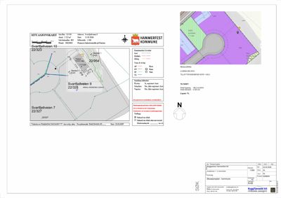 Situasjonskart som viser tomtens beliggenhet, grenser, nabotomter og reguleringsstatus.