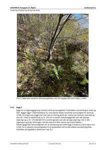 Fotografi av et skråningsområde med skog, der røde piler peker på steinsprangblokker som har stoppet bak en voll.