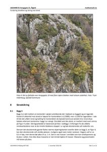 Fotografi av en fjellside med steinblokker og vegetasjon, som illustrerer et skredområde.