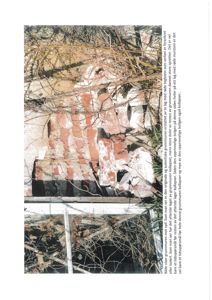 Fotografi av en delvis kollapset grunnmur med rød murstein og vinstokker.