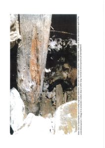 Fotografi av en betongbærebjelke med synlig rust og skade, samt en murvegg i bakgrunnen.