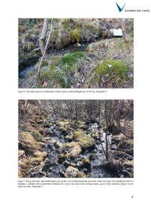 Fotografier av et bekkeløp i et naturområde, inkludert beskrivende tekster under bildene.