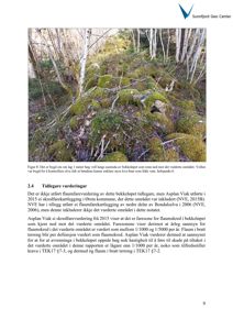 Fotografi av et bekkeløp med en voll langs utsiden, som er bygd for å kontrollere elva slik at bøndene kunne enklere styre hva bever fikk vann.