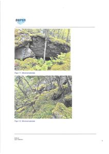 To fotografier av terreng og vegetasjon, merket som 'Figur 11. Morenemateriale' og 'Figur 12. Morenemateriale'.