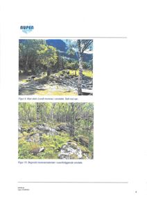 To fotografier som viser terreng og vegetasjon i et naturområde, med tekster som beskriver 'Mye stein' og 'Begrodd morenemateriale'.