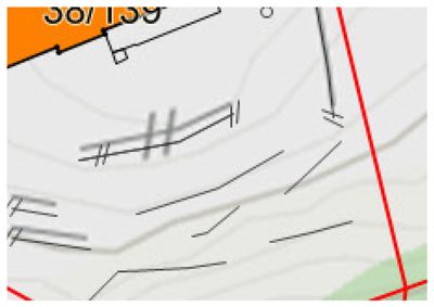 Dette er en detalj fra en situasjonsplan (tomteplan). Bildet viser konturer av terreng (konturlinjer), symboler for vegetasjon (trestammer), og en rød linje som sannsynligvis markerer eiendomsgrenser eller en vei.