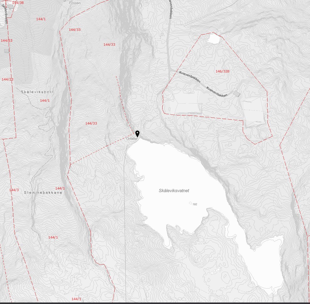 Situasjonsplan som viser topografi, vannmasser (Skålevikvatnet), eiendomsgrenser (røde streker med arealnummer) og plassering av bygninger.