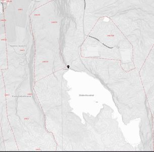 Situasjonsplan som viser topografi, vannmasser (Skålevikvatnet), eiendomsgrenser (røde streker med arealnummer) og plassering av bygninger.