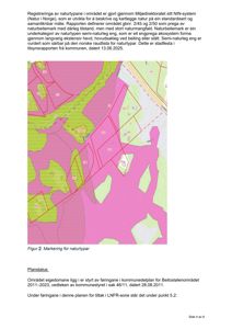 Et kart som viser naturtyper (markert med rosa og grønnfarge) og arealplanlegging (røde linjer) for et område i Beitostølen.