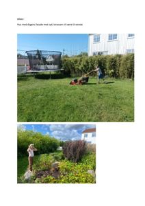 Fotografier av en eksisterende hage og fasade på et hus.