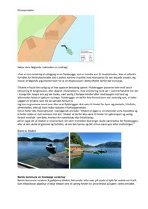 Situasjonsplan som viser plassering av en flytebrygge i forhold til kystlinjen og bergknausen.