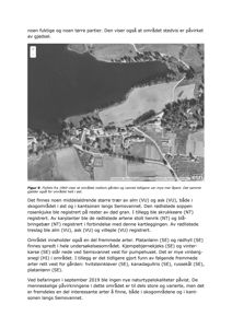 Flyfoto fra 1969 som viser et område mellom gården og Semsvannet, inkludert skogområder og kantsoner.