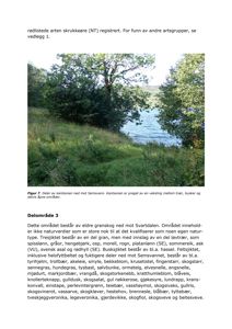 Fotografi av et naturområde (kantsone ved Semsvannet) med tekstbeskrivelse av vegetasjonen.