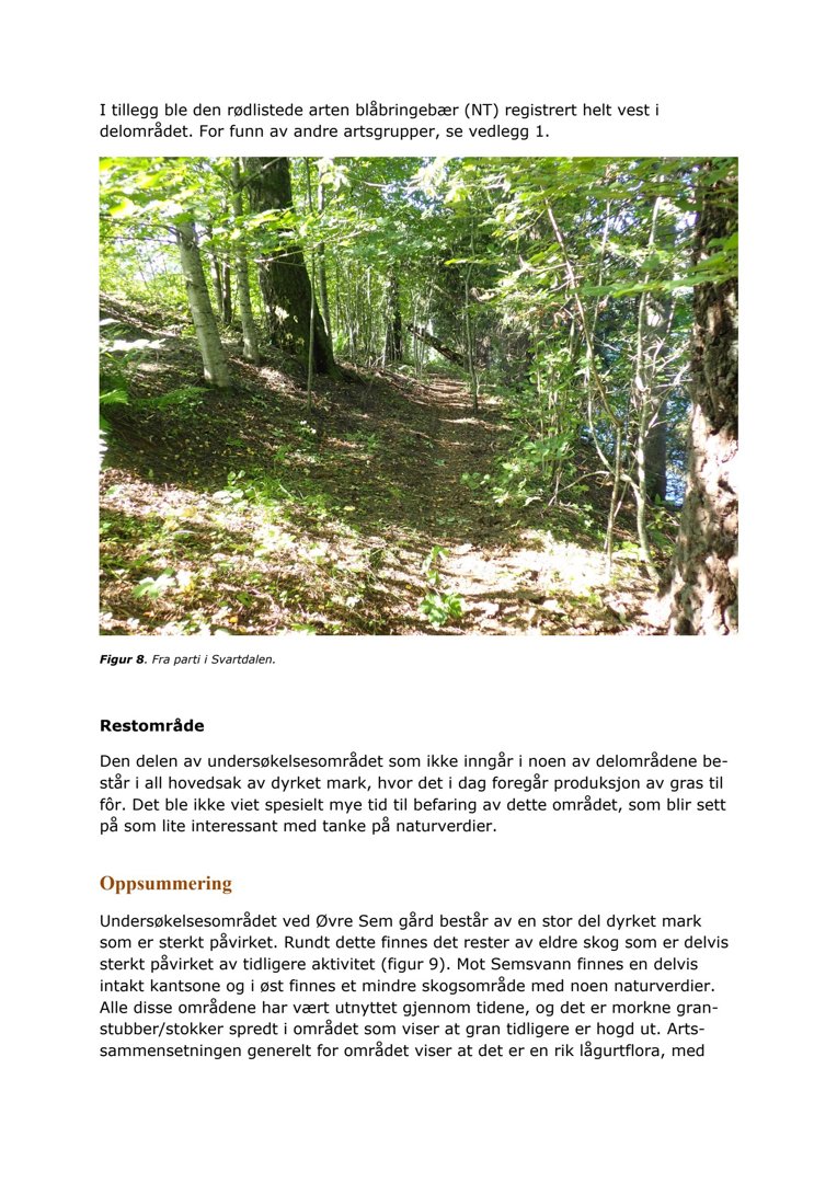 Fotografi av et skogområde med tekst om rødlistede arter og naturverdier.