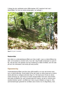 Fotografi av et skogområde med tekst om rødlistede arter og naturverdier.