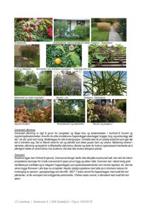 Et collage av flere fargefotografier som viser ulike hageelementer og planter, inkludert prydgress, busker, trær og en trapp. Bildene illustrerer designvalg for et hageanlegg.