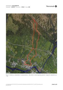 Ortofotoverlegning (flyfoto) med overlagte linjer som viser nedberfelter og dreneringslinjer.