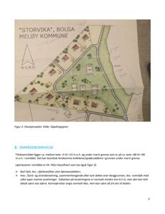 Situasjonsplan for Bolga Meløy kommune som viser tomtens form, plassering av bygninger, veier og vegetasjon.