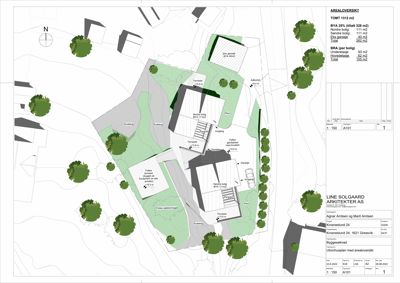 Situasjonsplan med arealoversikt som viser tomtens form, beplantning, nabobebyggelse og bygningers plassering.