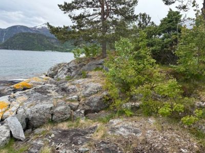 Fotografi av et kystlandskap med steinete klipper, vegetasjon, vann og fjell i bakgrunnen.