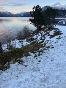 Fotografi av en kystlinje med snø, vann og fjell i bakgrunnen.