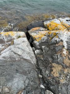 Fotografi av en kystlinje med store, mosede steiner og havvann i bakgrunnen.