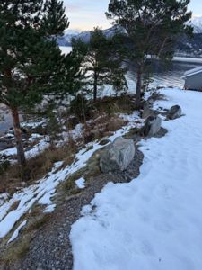 Fotografi av en snødekt kystlinje med trær, steiner og en del av en bygning i høyre hjørne.