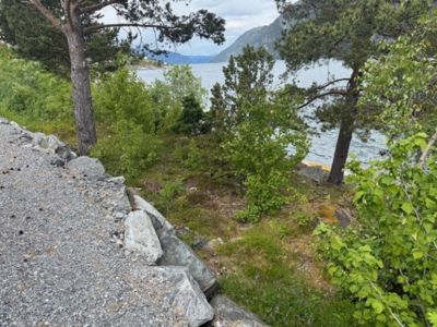 Fotografi som viser et utsiktspunkt fra en grusvei eller vei med steinmur, mot vann og fjell. Bildet viser terrenget og vegetasjonen, men ingen bygninger eller detaljer som er typisk for tegninger.