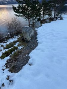 Fotografi av en snødekt kystlinje med store steiner og trær langs en vannkant.