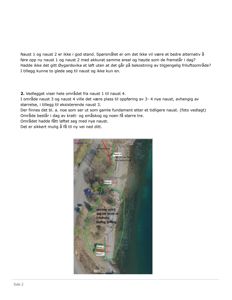 Et flyfoto eller satellittbilde av et kystnært område med merket eksisterende og planlagt bebyggelse (naust 1-4) og terrengforhold.