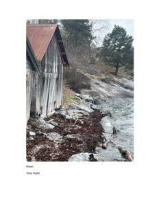 Fotografi av en gammel, trebygning med rustet tak ved en kystlinje med steiner og tang.