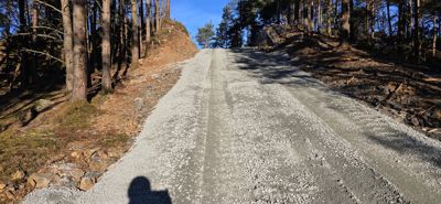 Fotografi av en grusvei som går oppover en skråning i en skog.