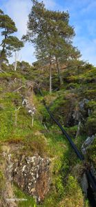 Fotografi av en svart rørledning som løper gjennom et grønt, kupert terreng med furutrær og steiner. I bakgrunnen er det synlig en del av en bygning.