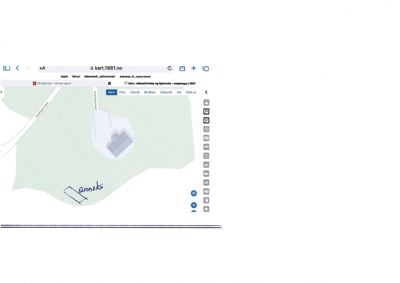 Kartutsnitt fra kart1881.no som viser eiendomsgrenser, vegforløp og eiendomsplassering.