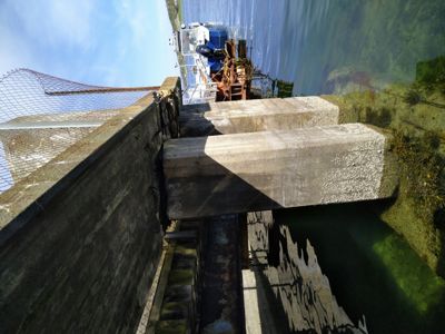 Fotografi av en betongkonstruksjon (kanskje en kai eller bro) i vann, sett fra under. Bildet er rotert 90 grader mot høyre.