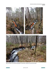 Fotografier av en bekkenløp i skog, tatt som del av en skredfarevurdering.