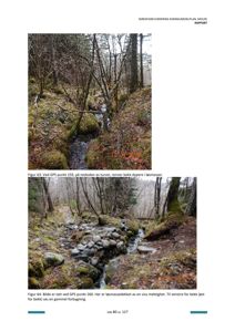 Fotografier fra en skredfarevurdering som viser bekker og løsmasser i terrenget.