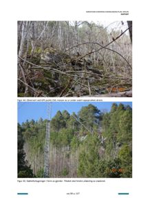 Fotografier av et skredområde med trær og snøskred, inkludert støtteforbygninger i form av gjerder.