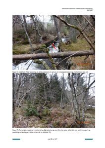 Fotografier fra en skredfarevurdering som viser elveløp, tre og terrengformasjoner.