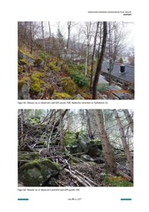 Fotografier av masse i skogen, tatt i forbindelse med en skredfarevurdering.