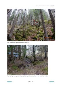 Fotografier av skrenter og terreng i en skog, inkludert et bilde med GPS-punkt og et bilde av en tidligere løp/fiomiøp.