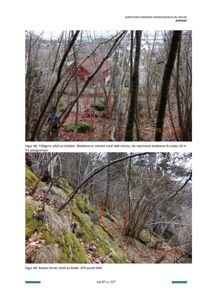 Fotografier av skredfarevurdering i et skogområde med merket utfall av blokker.