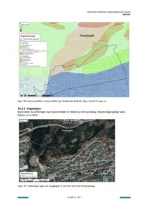 Bildet viser to kart som illustrerer skredfarevurdering for et område kalt Hauglegda. Øverste kart viser løsmassedekke, mens nederste kart viser vegetasjon (granskog) sett fra flyfoto.