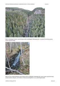 Fotografier av bekkeløp i et skogområde med tekstbeskrivelser under hver bilde.