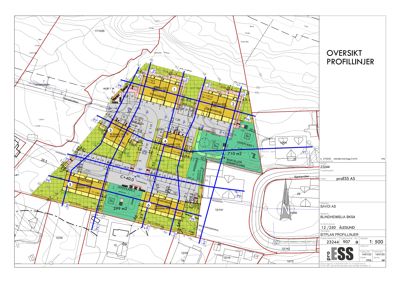 Situasjonsplan (Oversikt profilinjer) som viser tomtens form, omgivende infrastruktur, høydemålinger og planlagte bygninger.