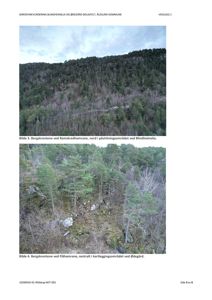 Fotografier av bergskrenter i skogområder, inkludert Ramskredhamrane og Flåhamrane.