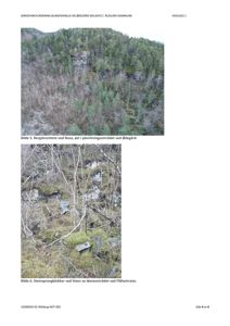 Fotografier av bergskrenter og steinsprangblokker i et skredfarslig område.