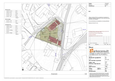 Situasjonsplan som viser tomtens grenser, nabolag, veier og plassering av planlagt bebyggelse.